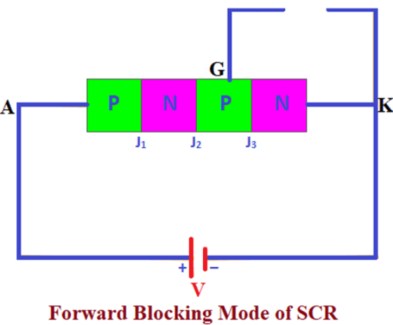  Forward Blocking